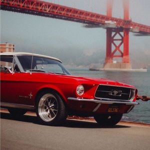 Meet your Posher, Delaney